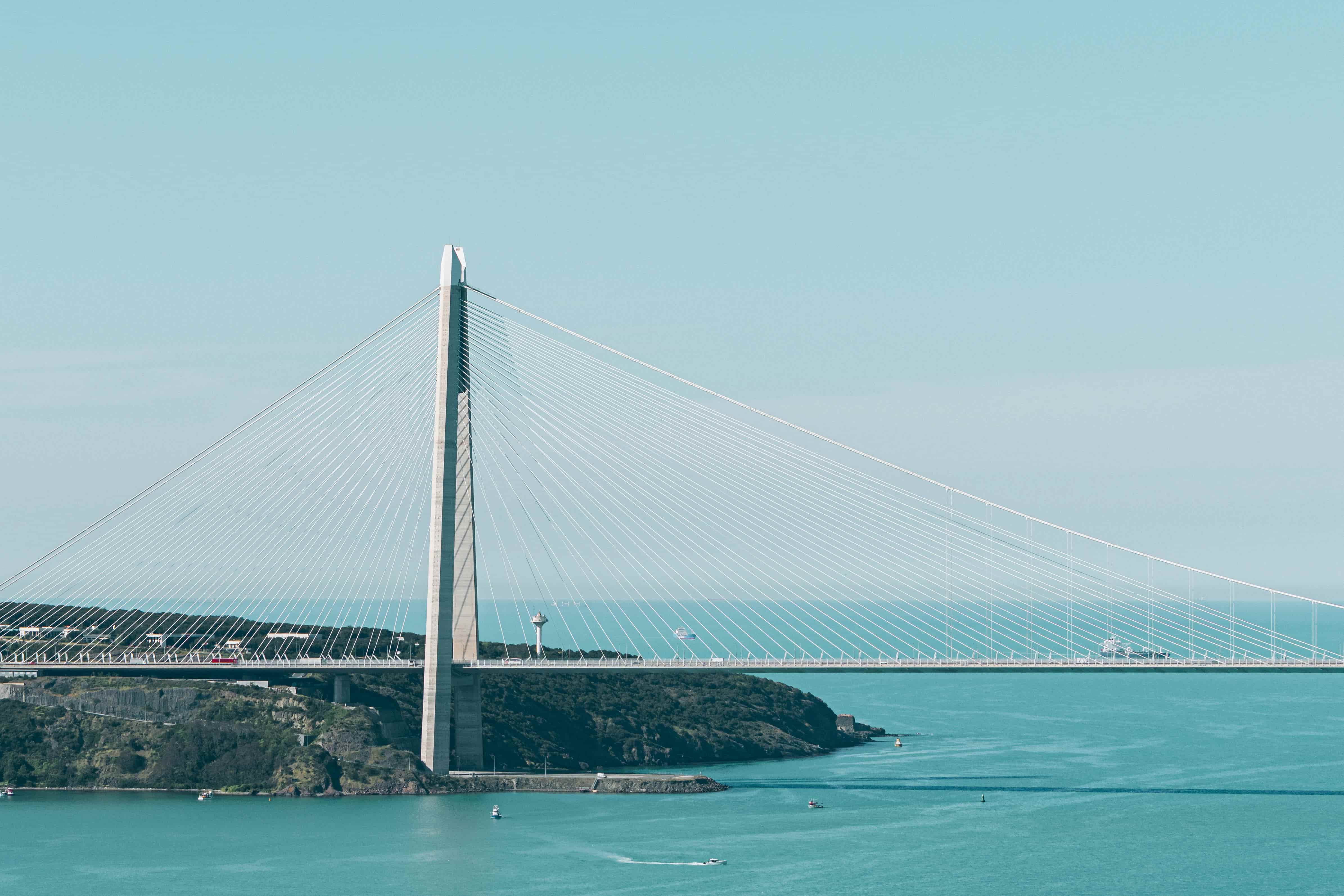 pexels-shotbyserhat-37687318-tuya.jpg